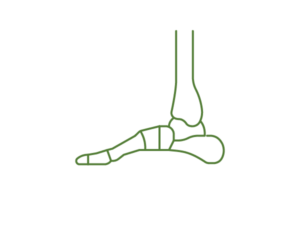 Foot & Ankle